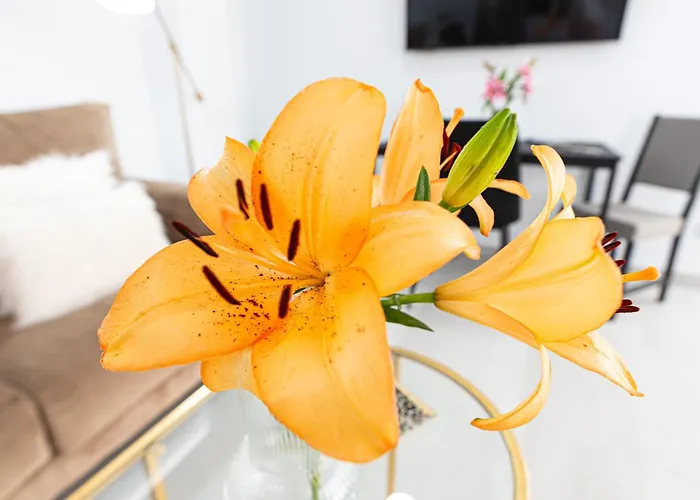 Sun&beach En Canteras Apartament Las Palmas de Gran Canaria