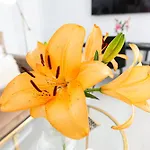 Sun&beach En Canteras